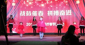 2019飞龙医疗春节联欢会