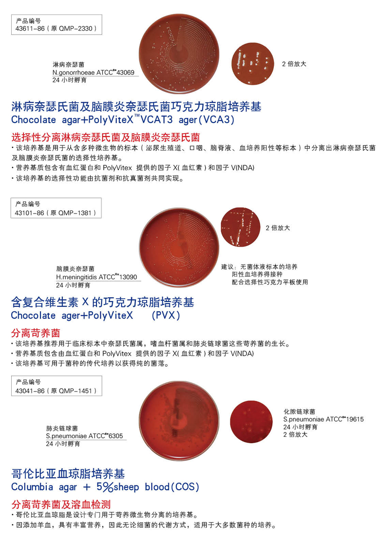 生物梅里埃常规成品培养基系列