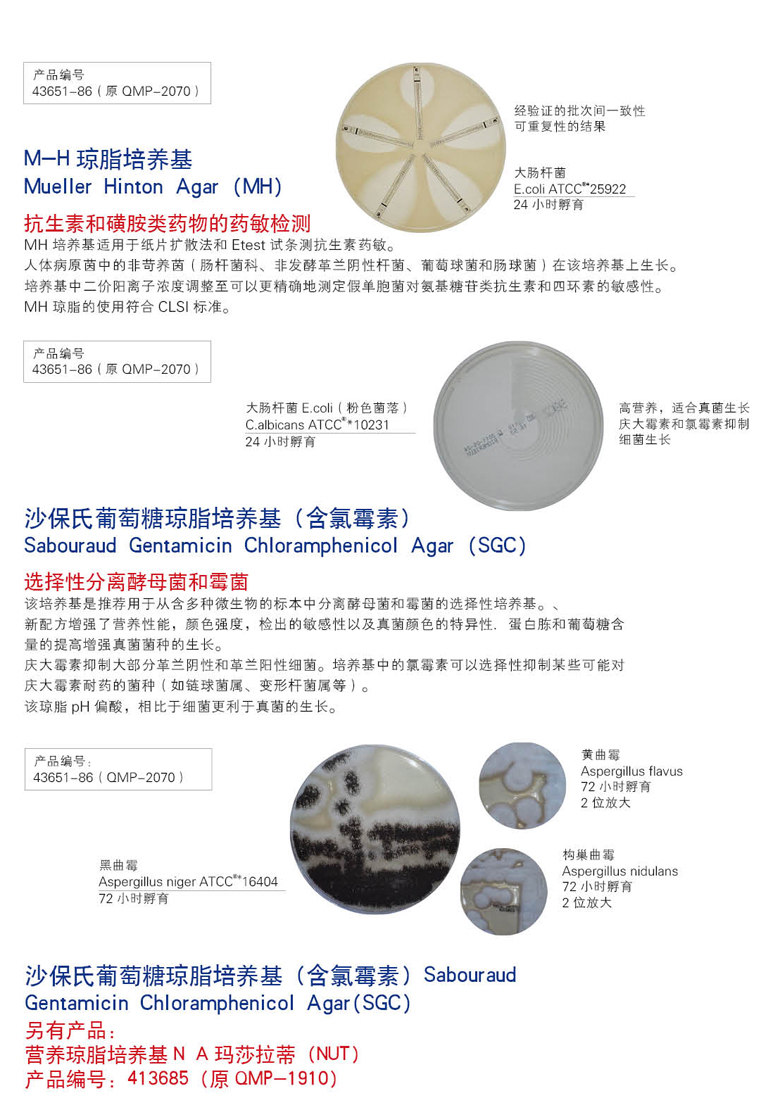 生物梅里埃常规成品培养基系列